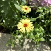 user_fb8da773の画像