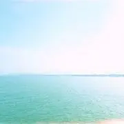 Rinの画像