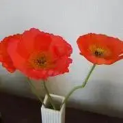 れの★の画像