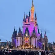 どんの画像