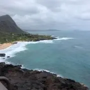 ipuの画像