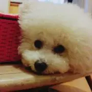 スーちゃんお願いあり=^x^=)☆
