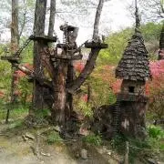 Hanaの画像