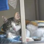 わつるの画像