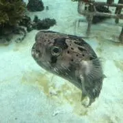 G クラフトの画像