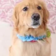 Yukiの画像