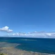 アイコの画像