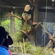 じゅりの画像