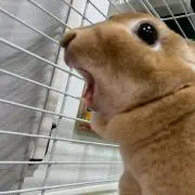 ちぃ