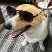 キーボー