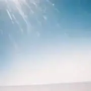 トマトの画像