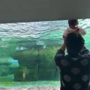 なおたかの画像