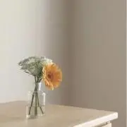 K♡子育て中の画像