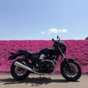 しおりく