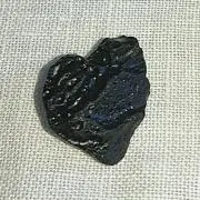 LioNSの画像