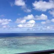 ムーの画像