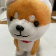 Floraの画像