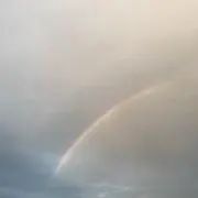 ToTの画像