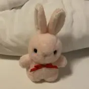よるしかの画像