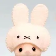 ぼんの画像