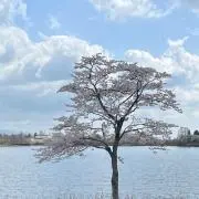 あかの画像