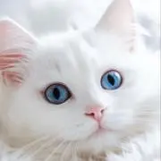 みーな