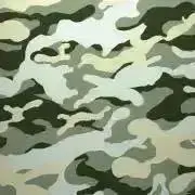Achilles(プロフ確認願います。)の画像