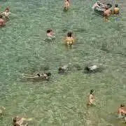 ウミウミの画像