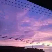 chigusa824の画像