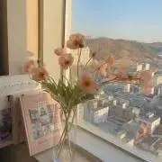 ゆ　購入前にコメントお願いします