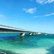 yukibeの画像