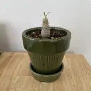 noの画像
