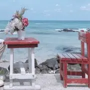 エイの画像