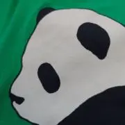 ゆきぱんだの画像