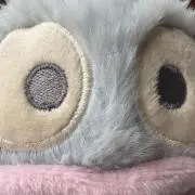 すぎっちの画像