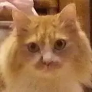 もこみち✿