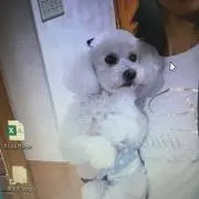 もんた