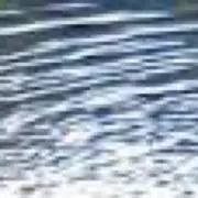 水ウミ