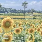 断捨離中です！！の画像