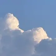もこくらげの画像