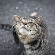 ケイの画像