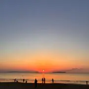 Mickyの画像