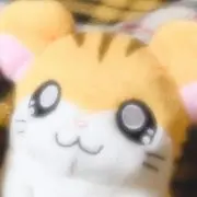 noa