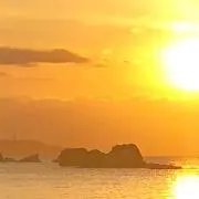 Majiの画像