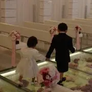ハル華