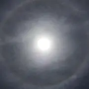 ドニーの画像