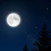 しかしかの画像