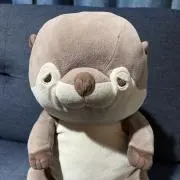 いちのじんの画像