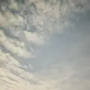 ラマンチャの画像