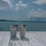 choppyの画像